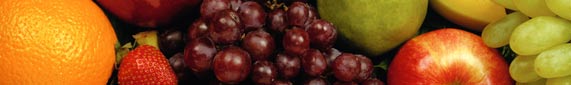 Food Safety Modernization Act) banner Food Safety Modernization Act