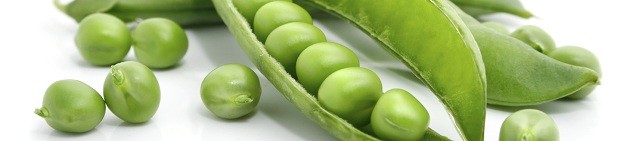 fresh green pea in the pod isolated