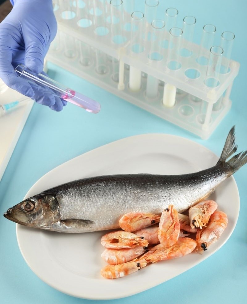 New FDA Draft Guidance Impacts Seafood Importers And Processors   Seafood Testing 